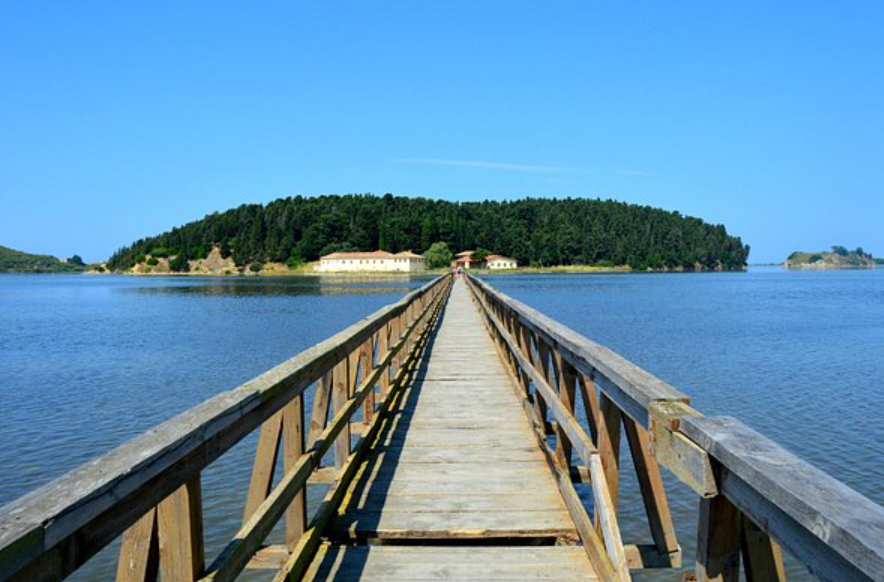 Darëzezë e Re, , Albania